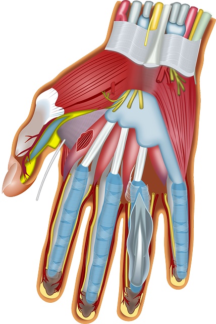 Nerve tumor